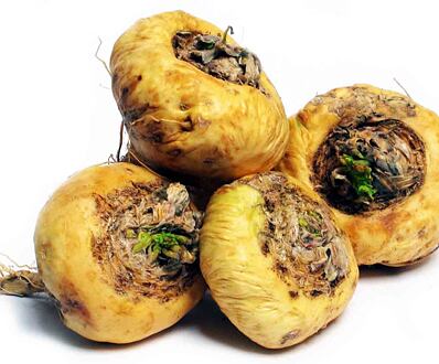 Maca peruánská (Lepidium meyenii)