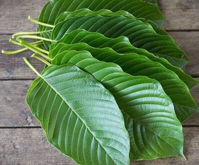Kratom a jeho prodej