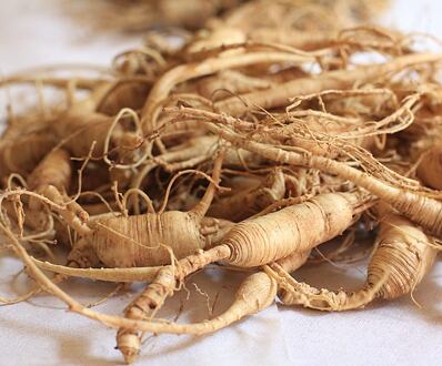 Ženšen pravý (Panax ginseng)