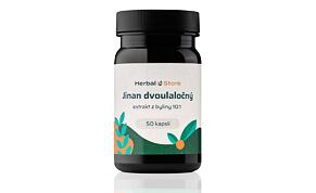 Ginkgo biloba kapsle - extrakt z byliny 10:1