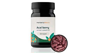 Acai Berry kapsle - extrakt z plodů 10:1