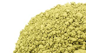 Kratom Ketapang White - prášek z listů