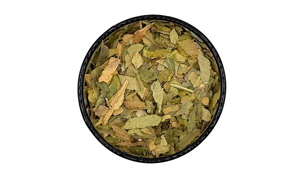 Ginkgo biloba - drcené listy