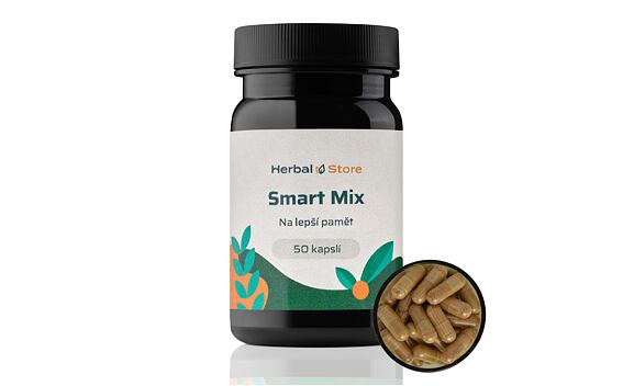Smart Mix - Na lepší pamět