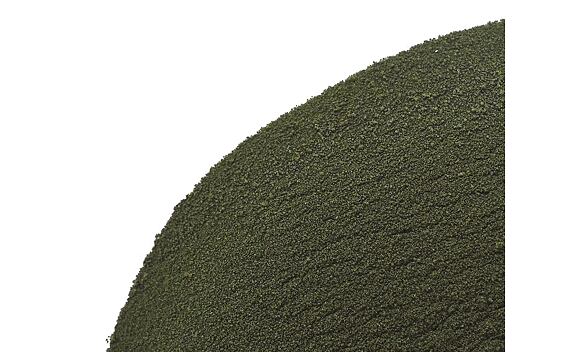 Chlorella - prášek z řasy
