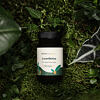 LiverDetox+ 